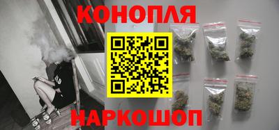 сатива Ставрополь