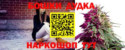 сатива Ставрополь