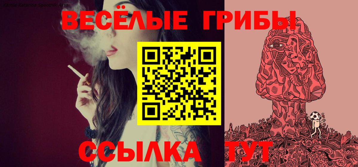 Псилоцибиновые грибы Cubensis  Вход с VPN  Псилоцибиновые грибы Psilocybe  Реутов 
